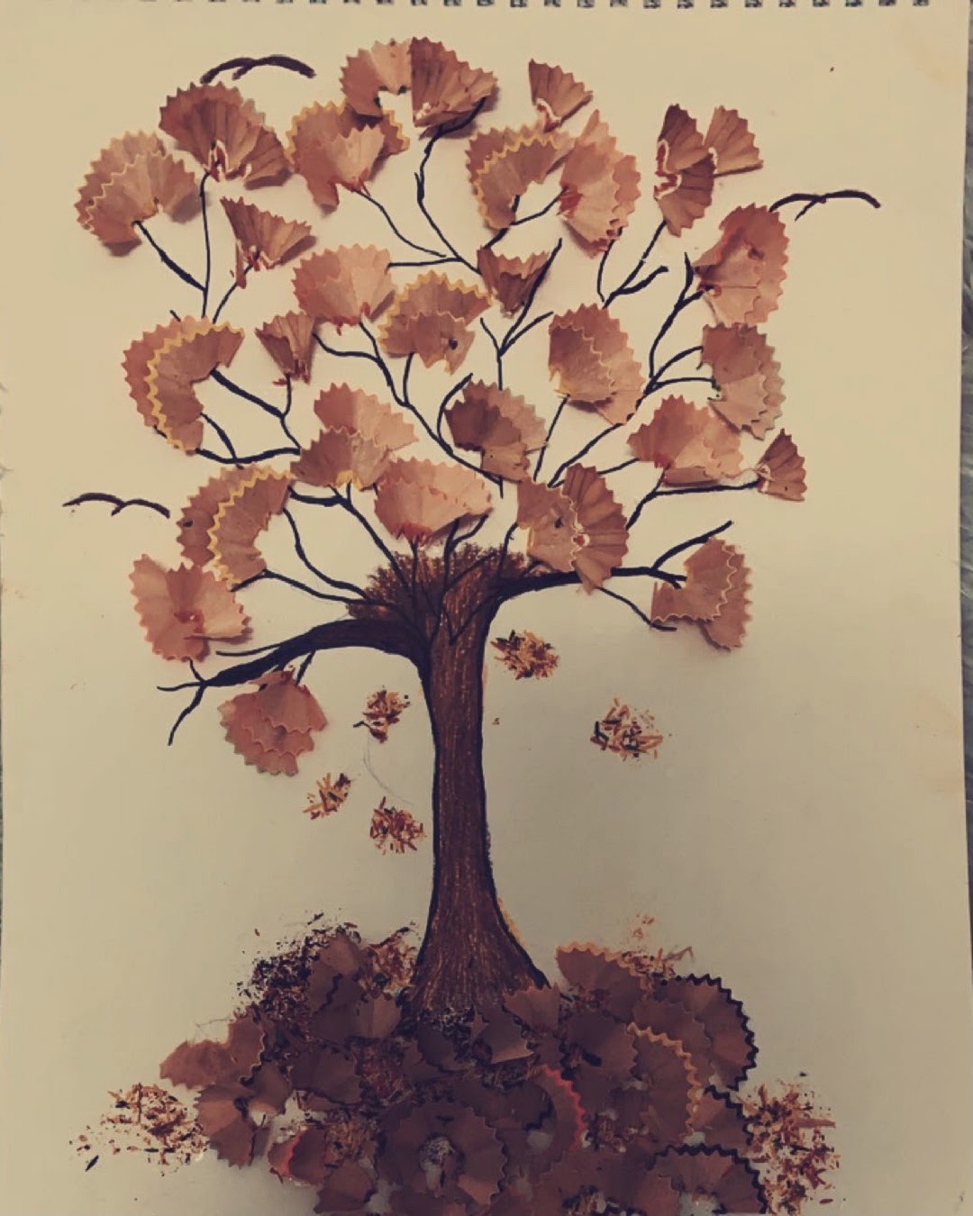البراء الهاجري الصف ال رابع / ٥