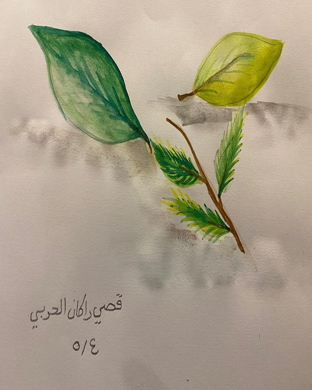 محمد الحربي