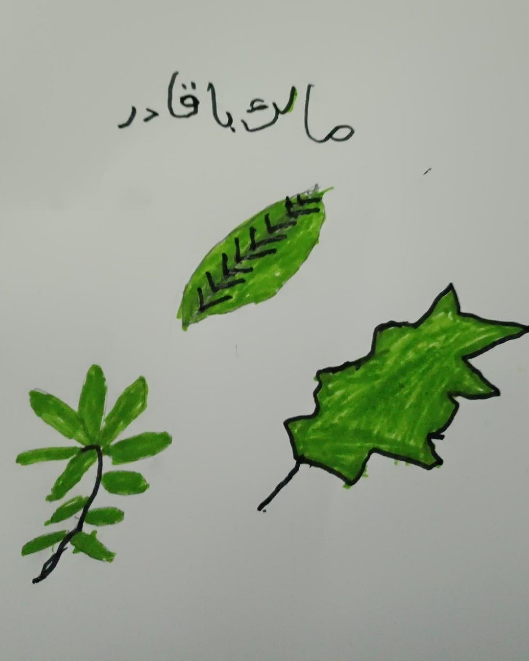 وليد السميري