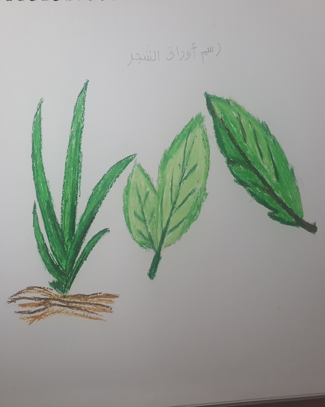 محمد الحربي