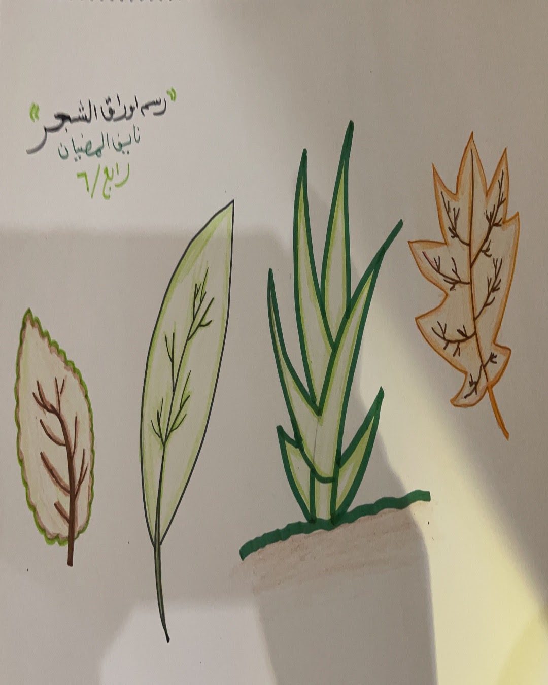 وسيم بدير