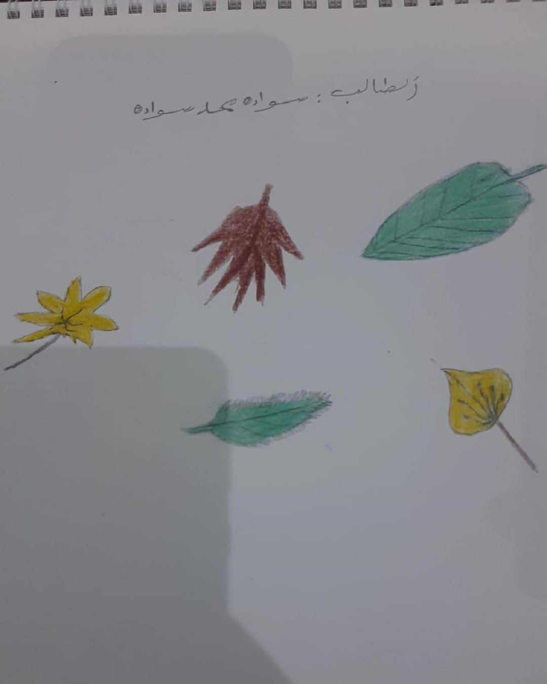 عبدالعزيز القحطاني