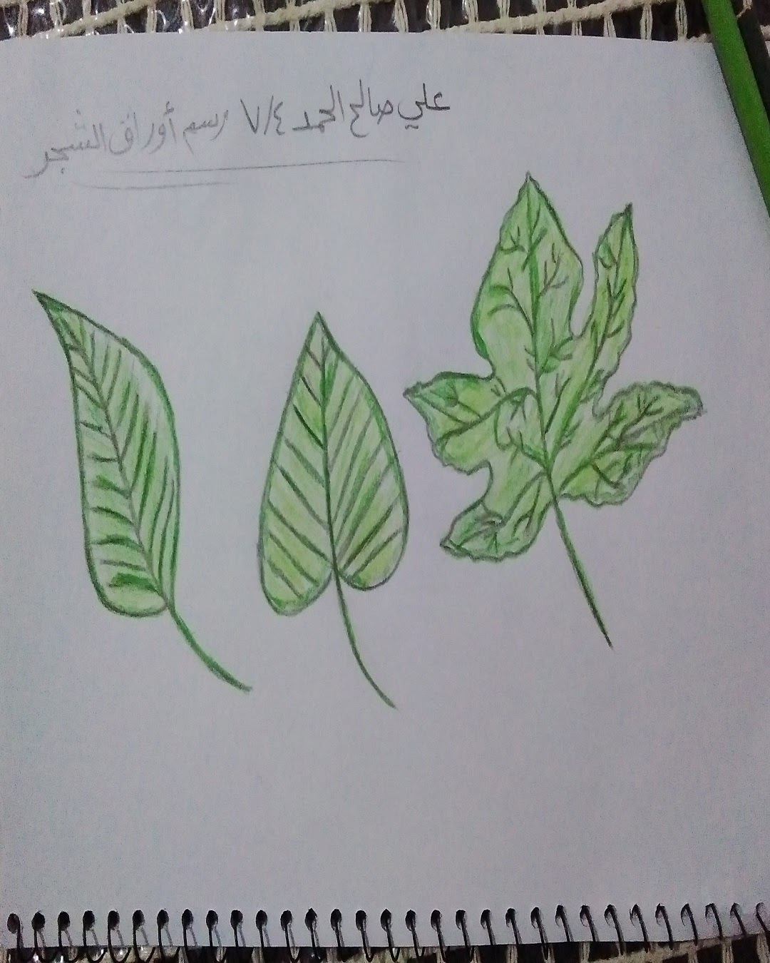 محمد تعتاع
